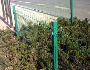 安平县星宇网片厂 专业供应草坪绿地防护网与草坪专用隔离网